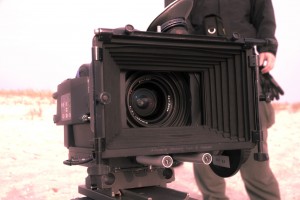 Arri